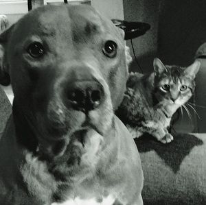 Meet your Posher, Michelle